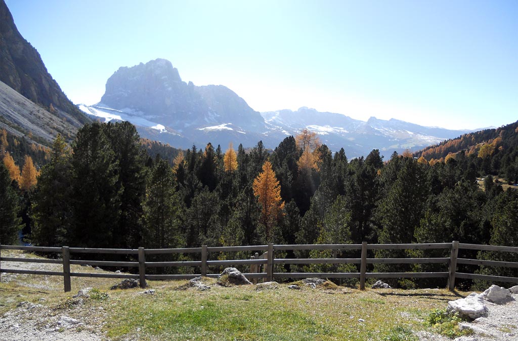 Sassolungo