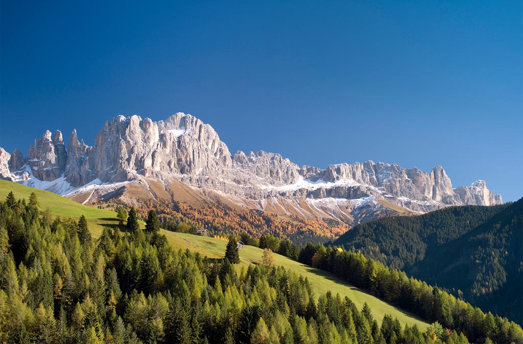 Rosengarten im Sommer