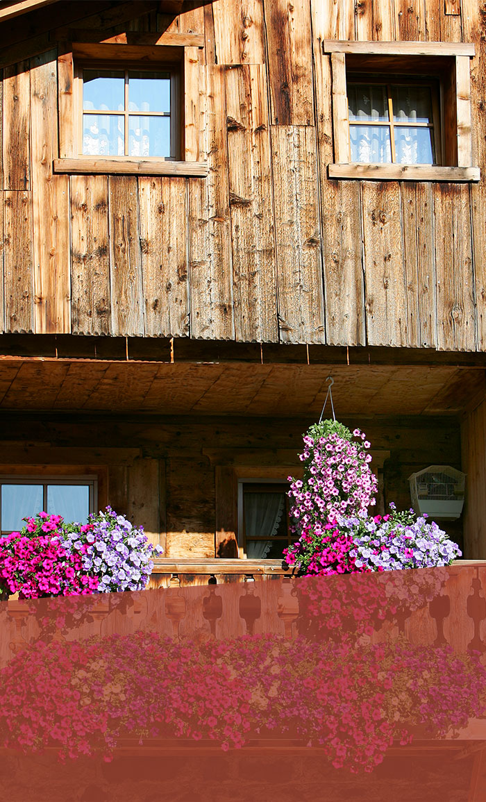 Farmhouse in South Tyrol for holidays